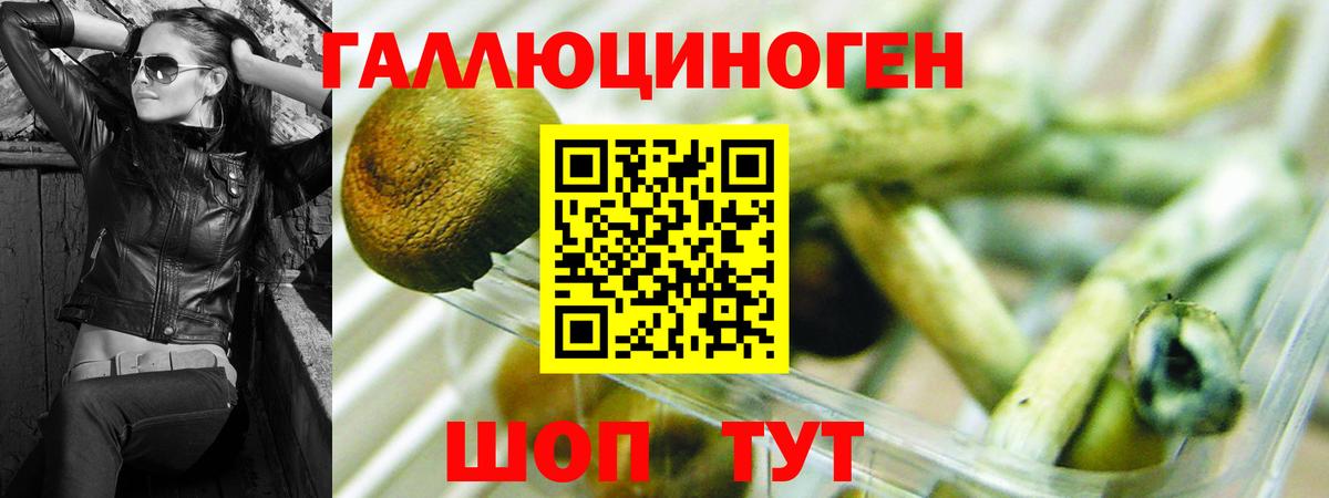 Железноводск  Псилоцибиновые грибы GOLDEN TEACHER  Вход с VPN  Галлюциногенные грибы MAGIC MUSHROOMS 
